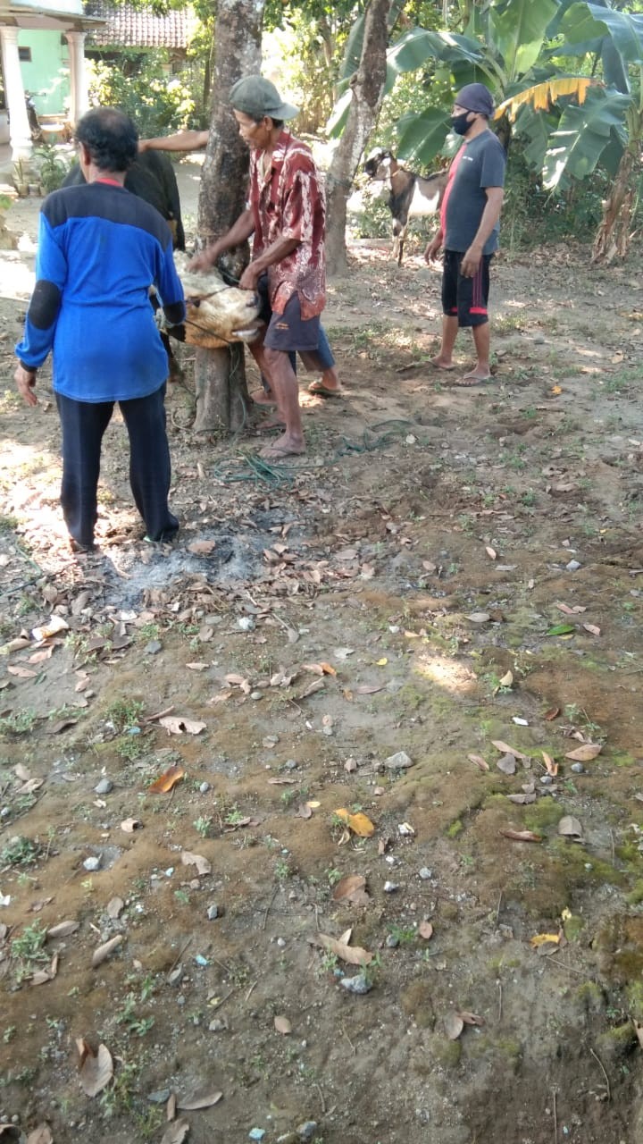 Gos-pisau Set 5 In 1 Keramik J13 / Pisau Set Keramik Dengan Kardus