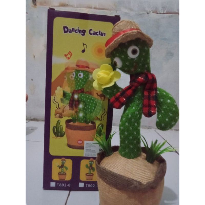 Boneka Goyang Kaktus / Dancing Cactus Toy / 3in1 Boneka Joget