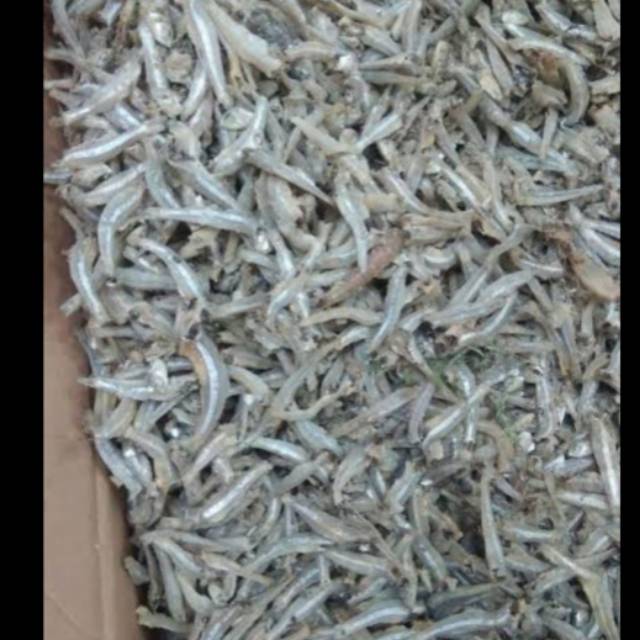 

Ikan teri kalbar (kubu raya)