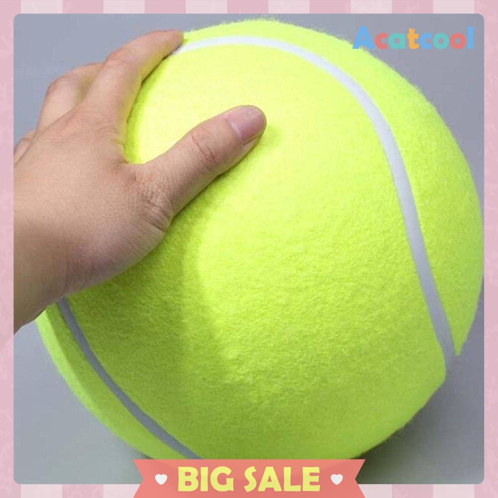 9.5' Big Giant Pet Dog Puppy Tennis Ball Thrower Chucker Launcher Play Toy