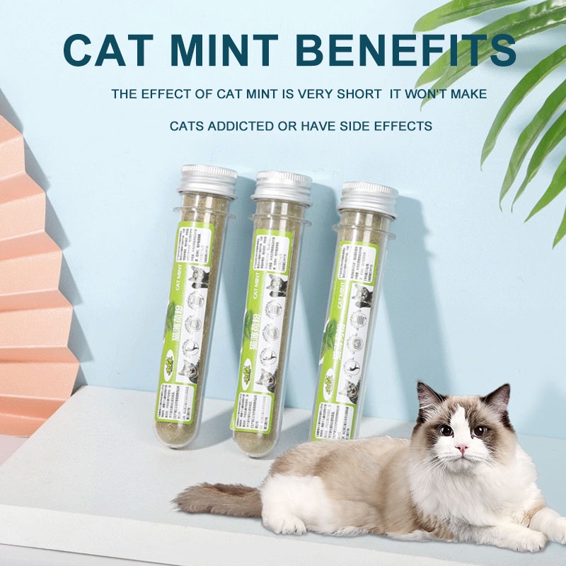 Catnip Catmint Snacks Catnip Camilan Kucing Catmint Menthol Snack Makanan Pure Mint Powder Cat Nip Powder