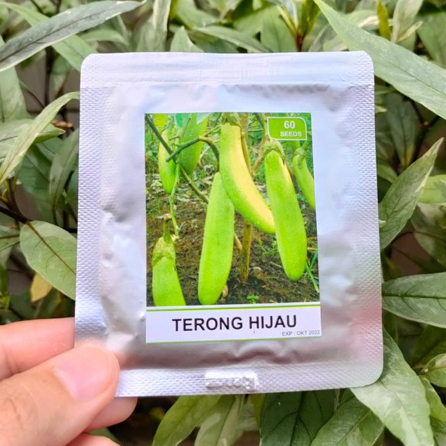 benih sayur - benih buah - benih sayuran - benih tomat - benih cabe - benih selada - benih bayam - benih terong - benih pakchoy -RS-Terong hijau