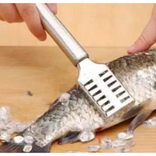 Ikan4d Harga Terbaik Agustus 2021 Shopee Indonesia