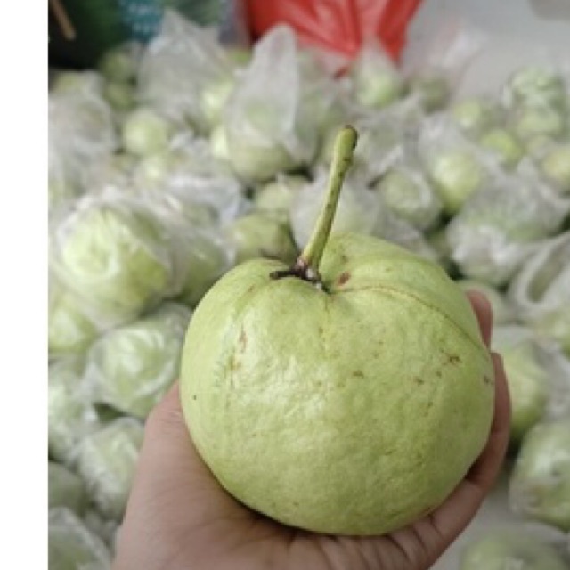 

JAMBU KRISTAL 1kg MURAH