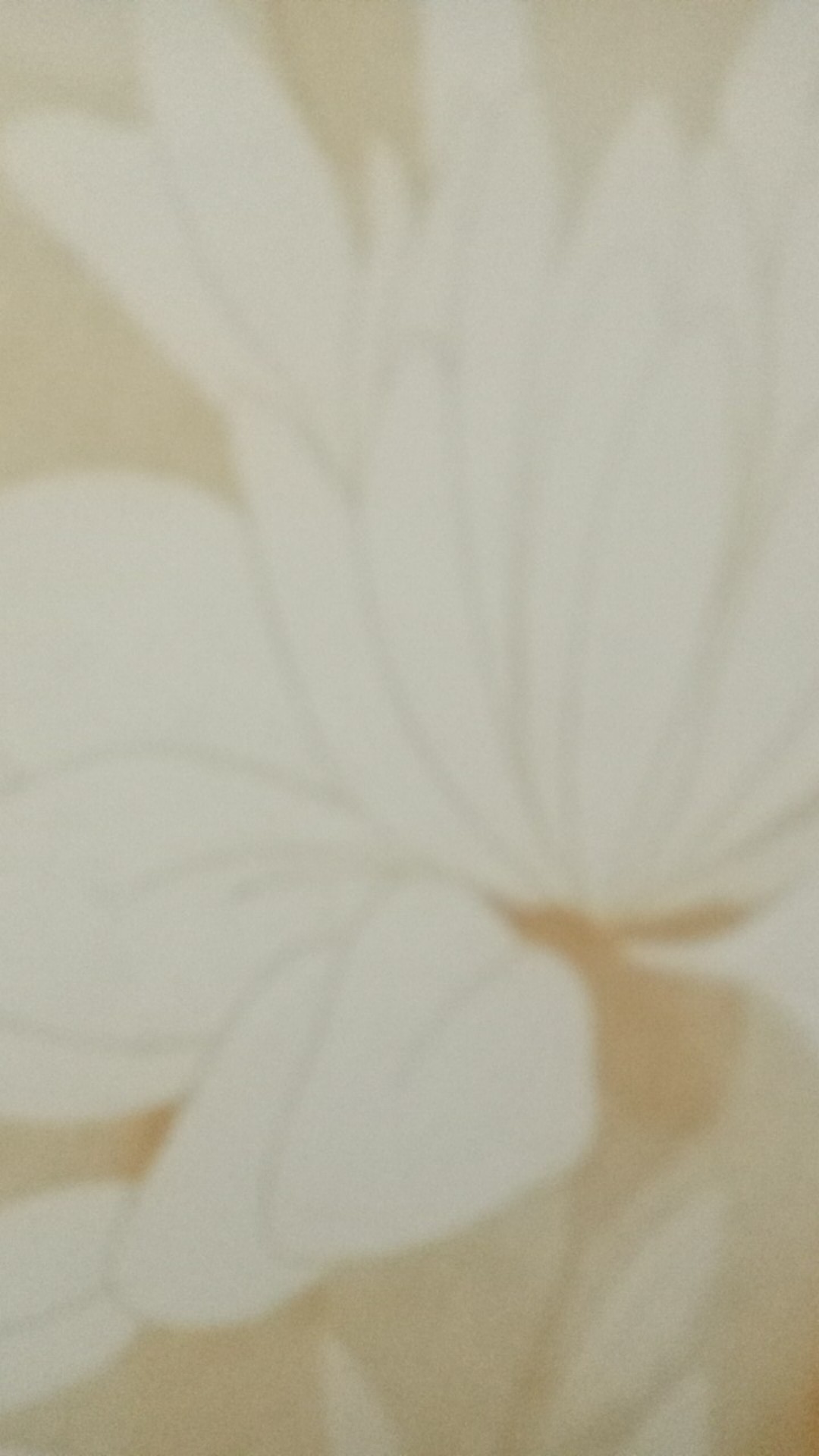 Loop Pin/lock Pin/hang Tag/gantungan Baju/string Pin (isi =500) 5 Inch