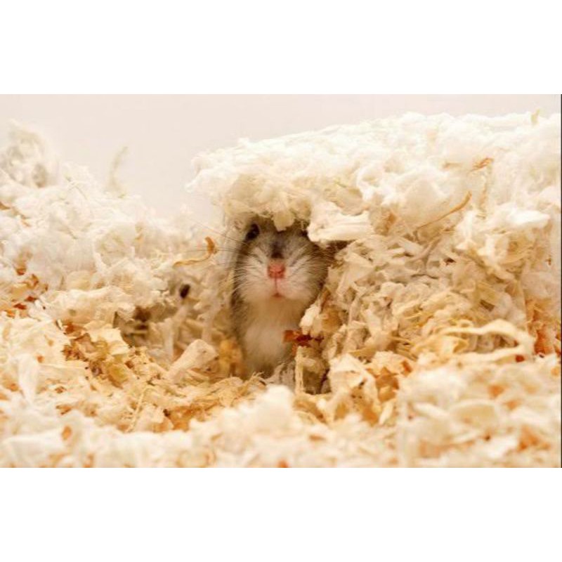 Serbuk Kayu Hamster / Alas Hamster / Serbuk Hamster / Serbuk Kayu Hamster 700gr