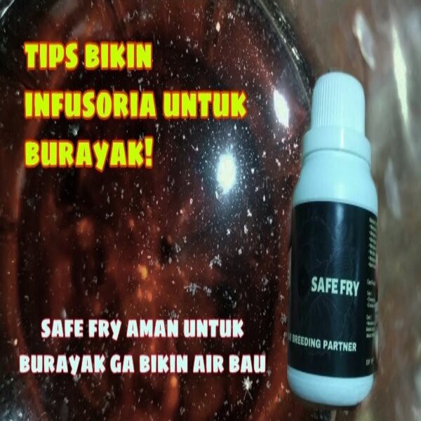 Safe Fry Kultur Infusoria Pakan Makanan Burayak Anak Ikan Hias Safefry