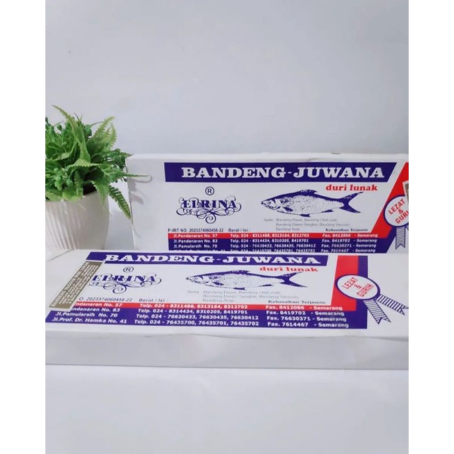 

Bandeng presto juawana semarang