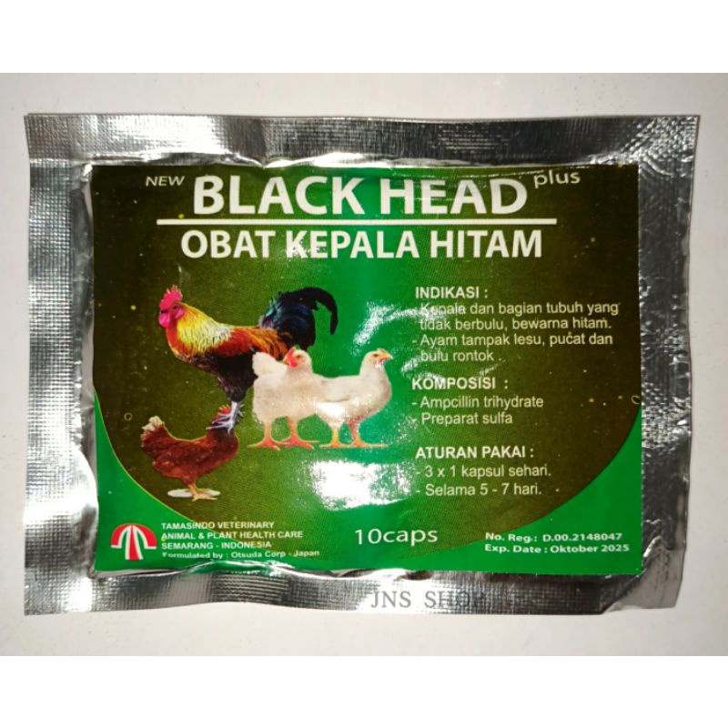 BLACK HEAD PLUS OBAT KEPALA HITAM MENGOBATI LESU PUCAT BULU RONTOK PADA AYAM 10 KAPSUL