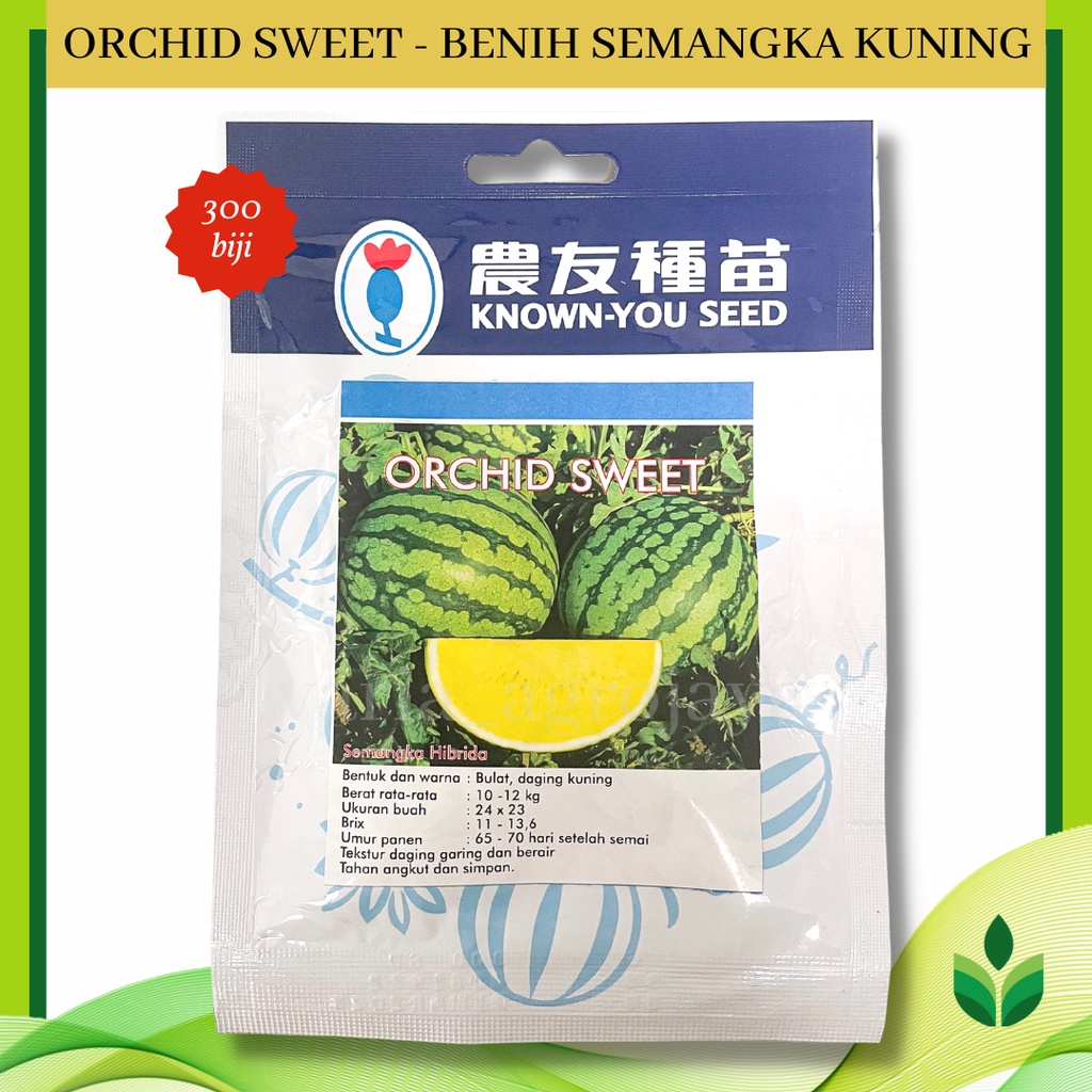 Benih Bibit Semangka Kuning Orchid Sweet - Known You Seed