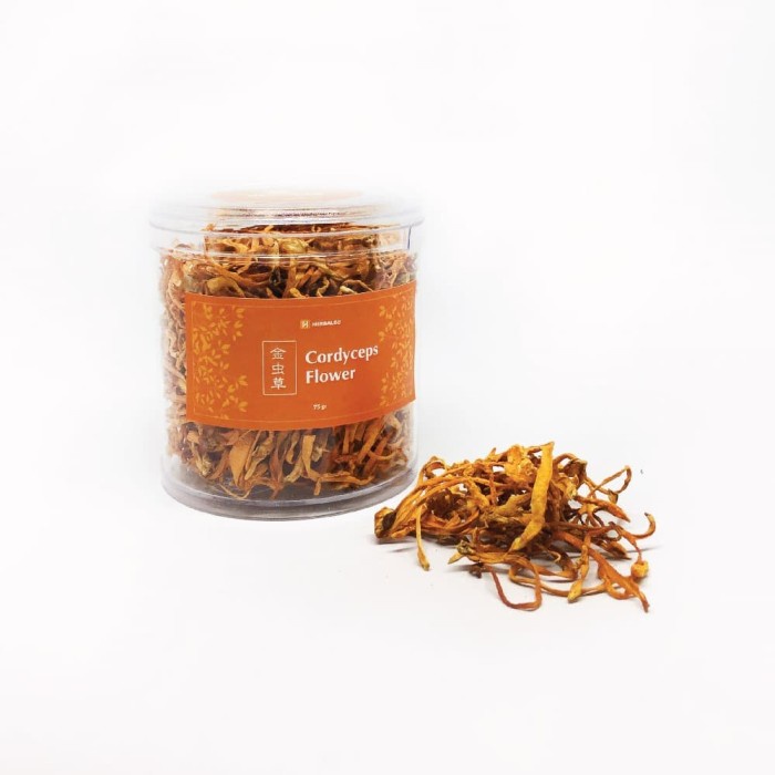 

qsps0s0 Cordyceps Flower / Jamur Bunga Cordyceps / 金虫草 (75 Gram) Gr040H