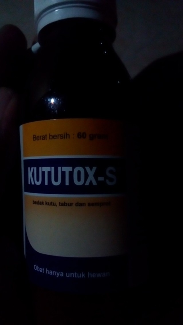Kututok Obat Semut Dan Kutu
