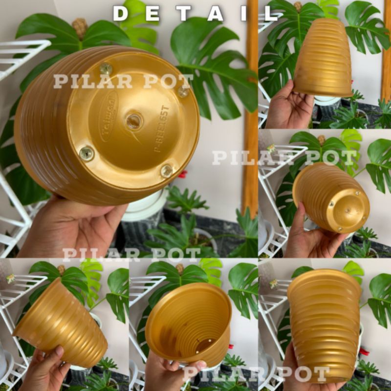 Pot bunga tanaman tawon gold tinggi 18 cm - taiwan BEE 185T GOLD