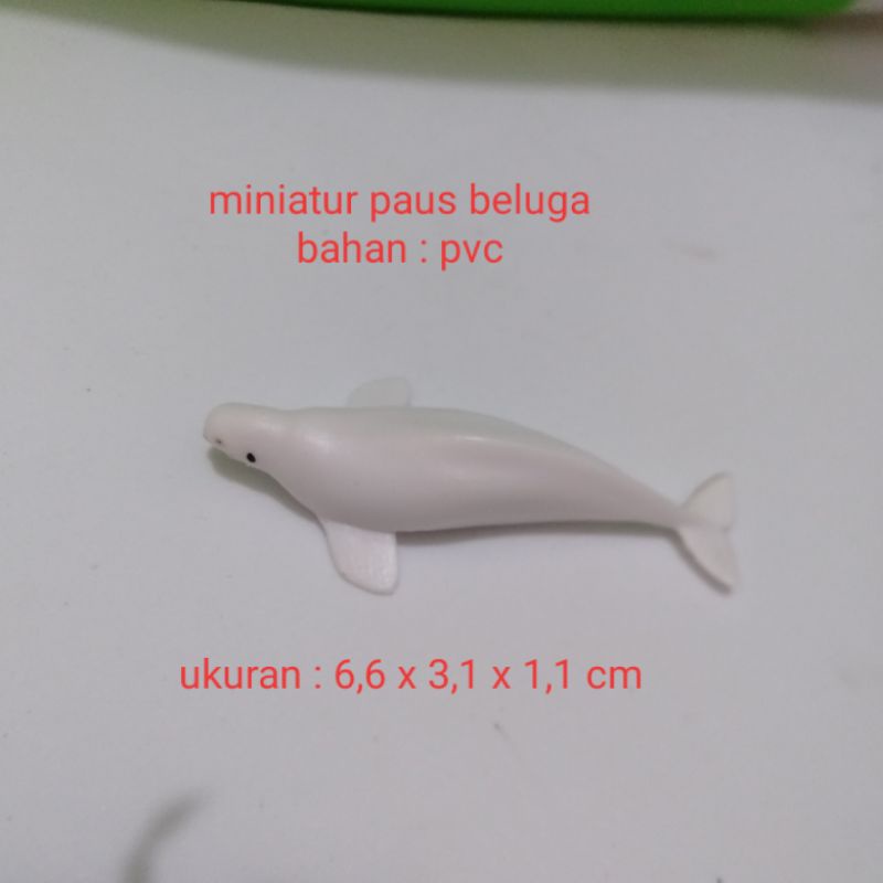 Miniatur Ikan Paus Beluga Miniatur Beluga Whale