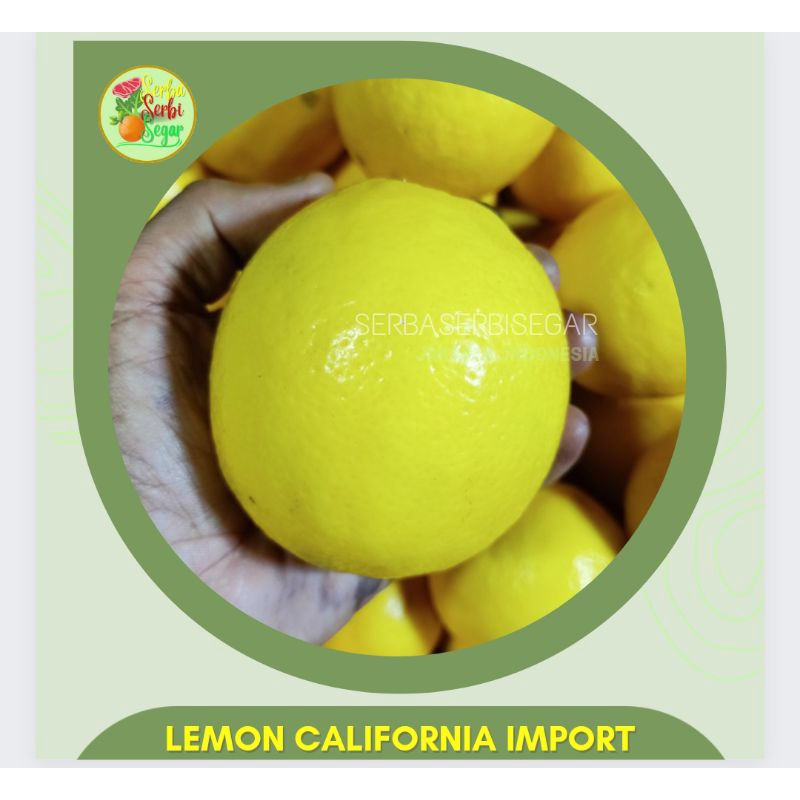 

LEMON CALIFORNIA IMPORT 1 KG
