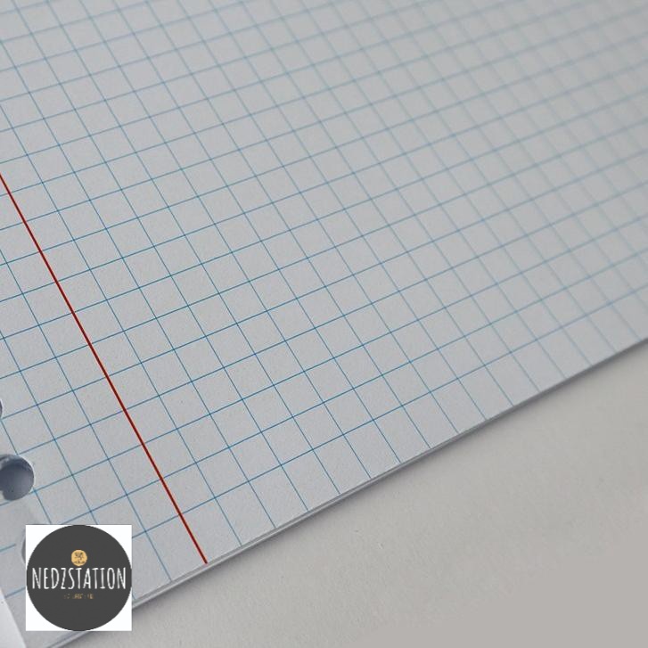 

Loose Leaf B5 Exersize Grid