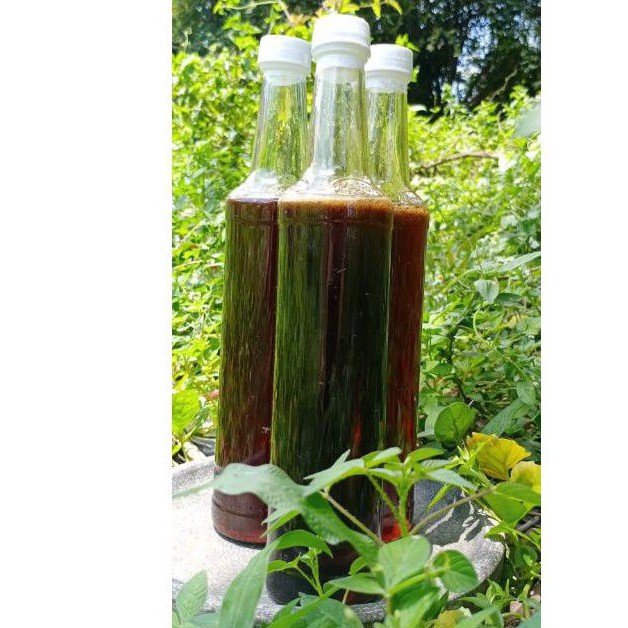 

Madu 3 botol Paket Hemat