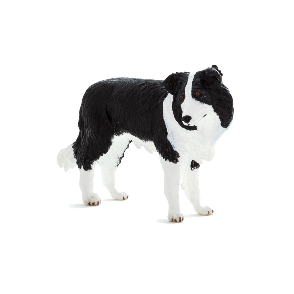 Mojo Border Collie 87203