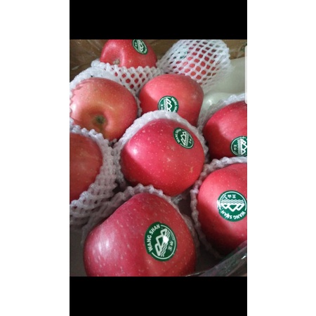 

APEL FUJI WANGSHAN. WANG SHAN FUJI APPLE MERAH. RED APPLE SWEET