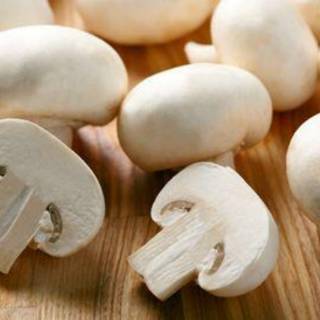 Jamur Kancing / Champignon Mushroom / Kompos Fresh Segar