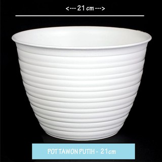 POT BUNGA TAWON PUTIH 21 ASLI BJP KEMBANG TANAMAN HIAS POT BUNGA TAWON PUTIH 21 ASLI BJP KEMBANG TANAMAN HIAS