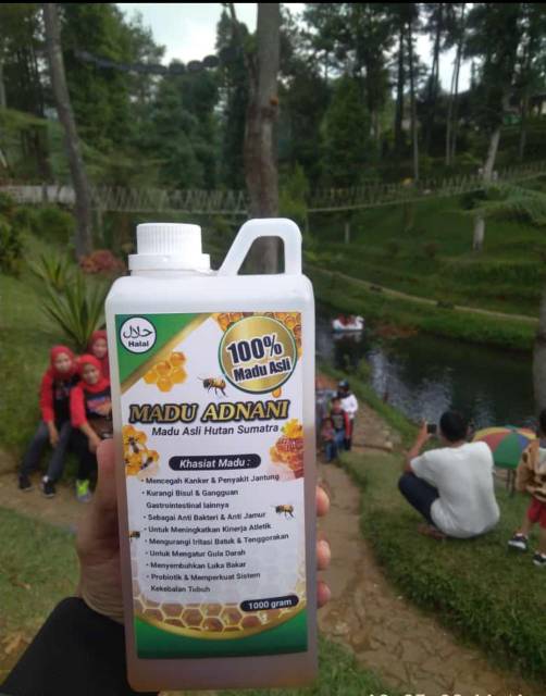 

Madu asli 1kg hutan jambi sialang