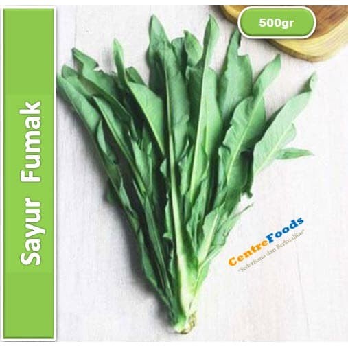 

Sayur Fumak Fresh - Jabar | 500gr [ Harga Per 0,5 Kg ]