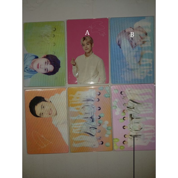 pc exo nature republic