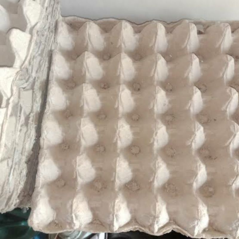 

egg tray karton baru lebih tebal