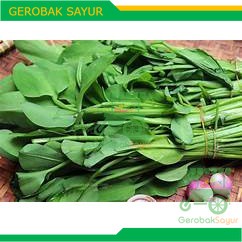 

Daun Genjer Kurleb 300 g