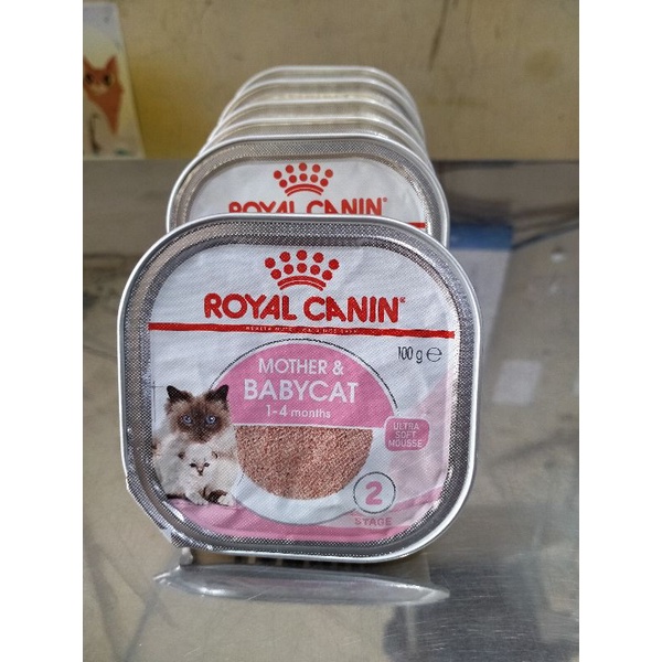 ROYAL CANIN Mother &amp; Babycat 1-4 Months 100 Gram 2 Stage