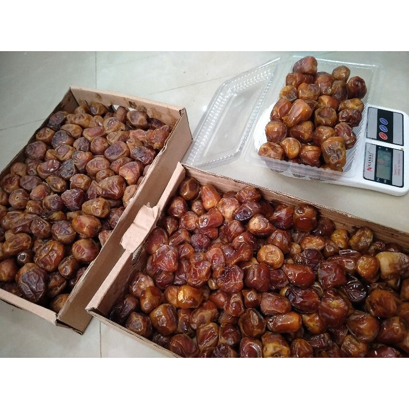 

kurma sukkari dellyssa premium