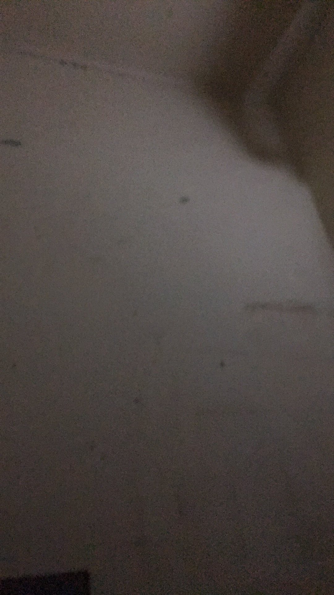 Kamper Unicorn Putih