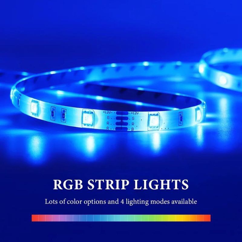 BS323 Lampu Strip LED RGB 5050 IP65 DC 12 V Warna Warni 5 Meter Waterproof