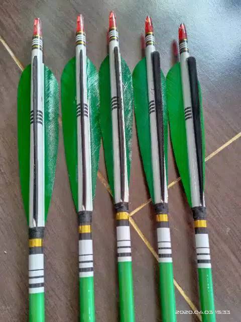 arrow carbon bulu feather flech spine500 anak panah carbon arrow