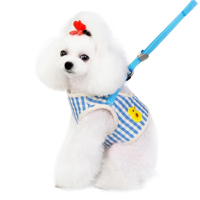 Ducky dodo harness leash set