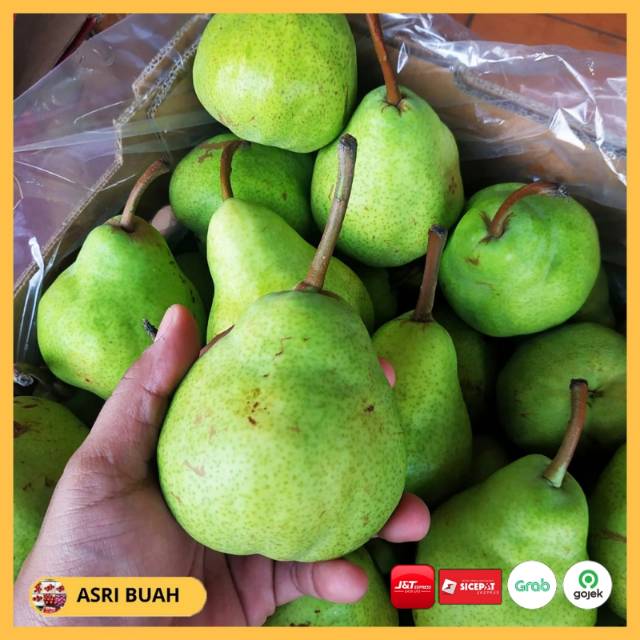 

PIR IJO/ Pear Hijau Packham