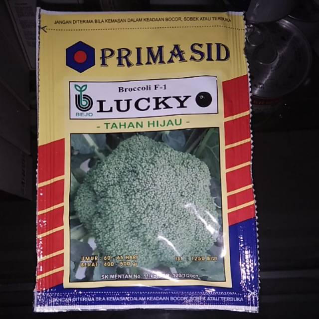 Benih Brokoli lucky bejo