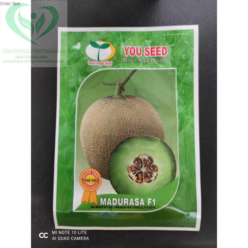 Benih melon hibrida MADURASA F1 isi 10gr dari YOU SEED