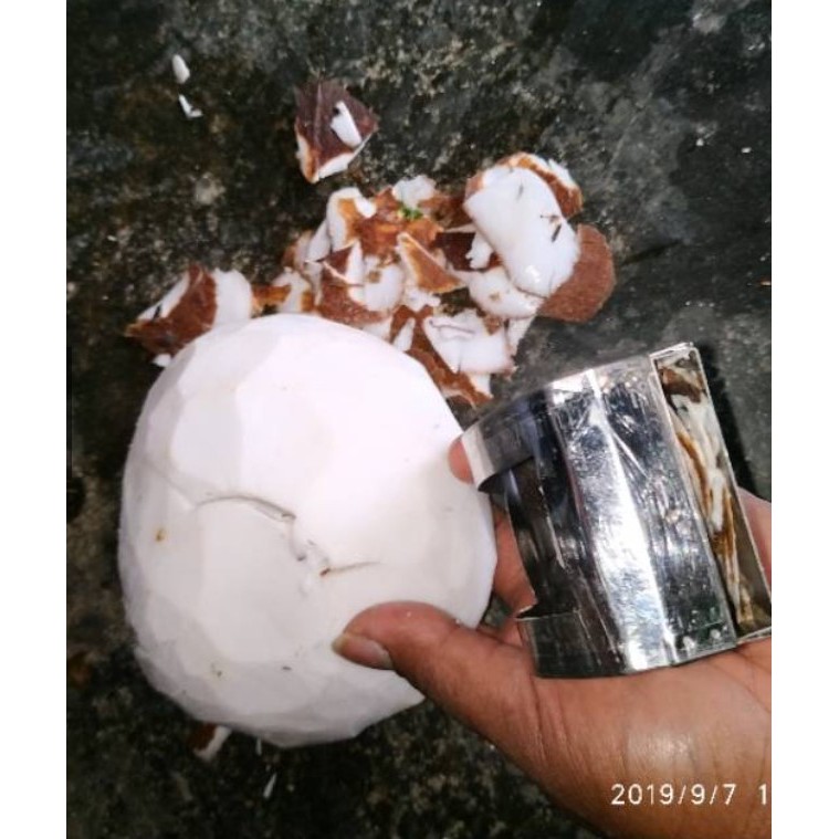 Alat Kupas Kulit Kelapa Peeler Kulit Kelapa Alat kupas buah alat kupas serbaguna stainless