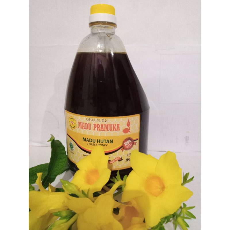 

Madu Hutan asli Pramuka 2000 ML