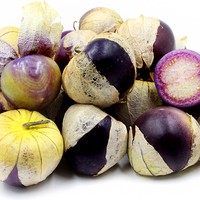 Benih Bibit Biji - Ciplukan Ungu Jumbo Purple Tomatillo Seeds