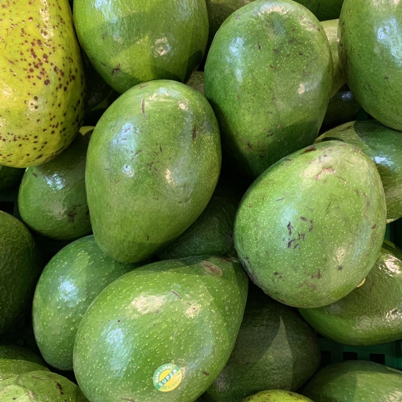 BUAH ALPUKAT | ALPUKAT MENTEGA 1 KG