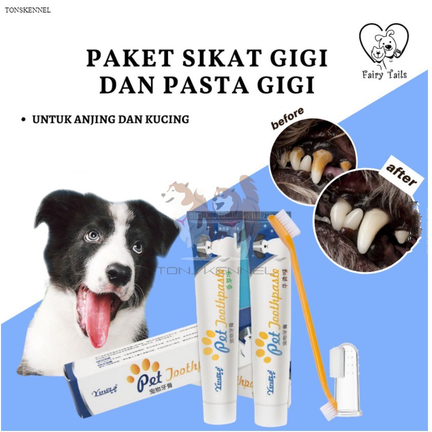 Pasta Gigi Odol Untuk Anjing dan Kucing Anabul Dengan Pilihan Sikat Gigi / Toothbrush Toothpaste Set For Pets