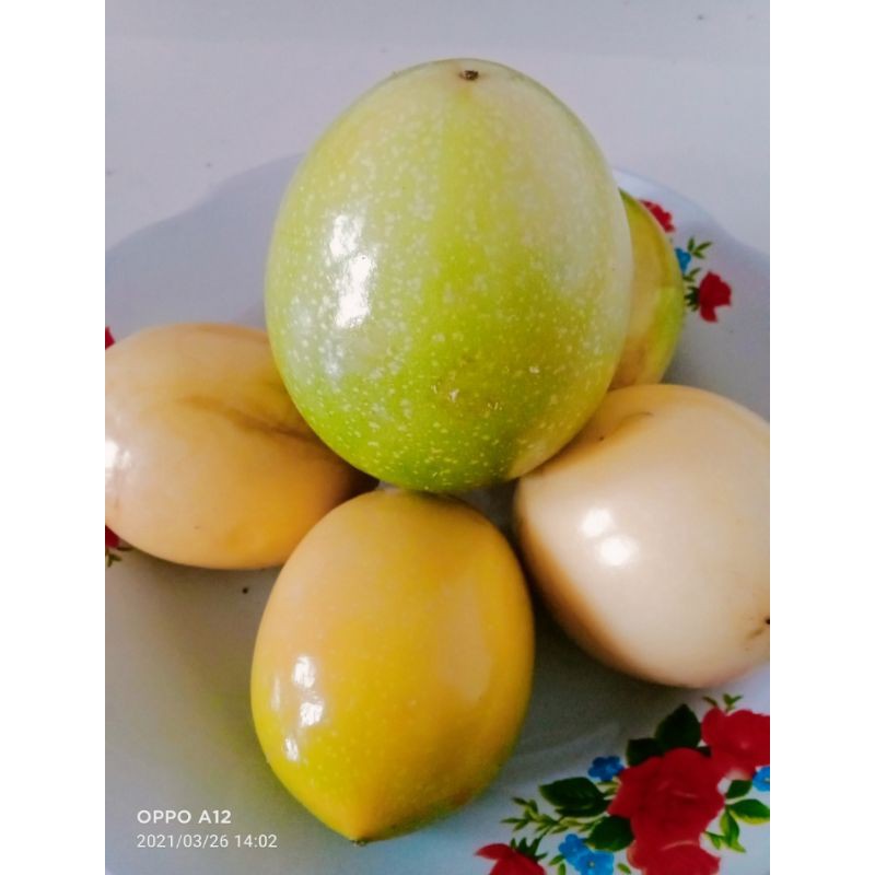 

buah markisa segar 1kg