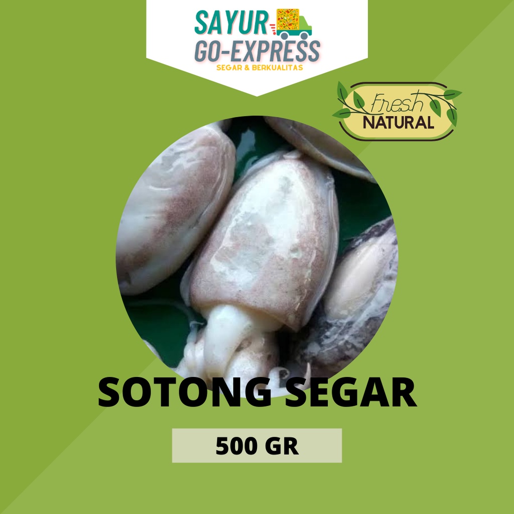 

sotong segar seafood 1kg