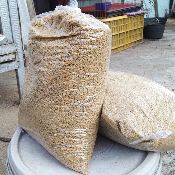 Pur Layer 511 Pakan Anak Ayam Pur Cepat Besar ( 500 gram ) Asli Ayam Kampung Bangkok Itik Bebek Bang