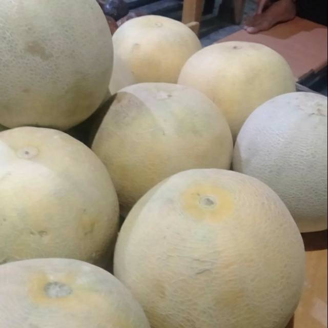 

Melon Biasa isi dalam Putih berat 1.5 kg up