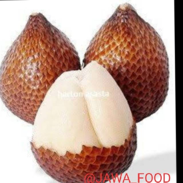 

SALAK FERSH / 1kg