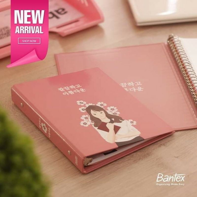 

binder B5/ binder bantex/ binder murah/ binder gudetama/ binder karakter/binder kartun/binder kaktus